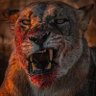 HeroLion profil fotoğrafı