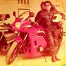 Guillermo Hoyos.'s profile picture
