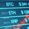 The Investor's profile picture