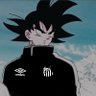 Goku Santista's profile picture