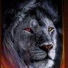 Profilbild von Turgut03