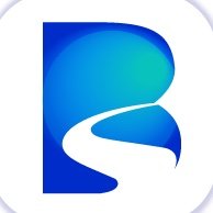 BridgingNews_'s profile picture