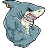 Elijah's profile picture