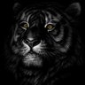 Ramy Magdy's profile picture