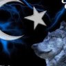 sercan caliskan's profile picture