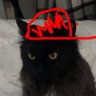 Profilbild von Frigid