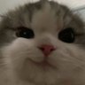 J never learn how to pick a name's profile picture