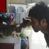 Abdurrahman Mert's profile picture
