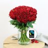sk@gmail.com 的头像