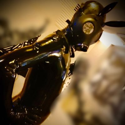 2nexttry's profile picture