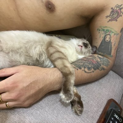 HMF20200903's profile picture