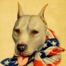 London Cooks's profile picture