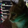 wahmbulance's profile picture