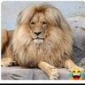 Jaime Oliveros's profile picture