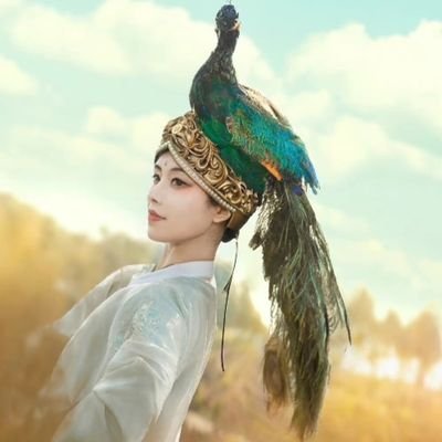 林芊芊🇨🇳🐱's profile picture