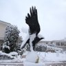 Münferit Beşiktaşlı 的头像