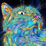OREN - kitty roaring into the void's profile picture
