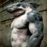 Profilbild von Donavin Crypto