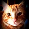 Manelín 22 profil fotoğrafı