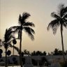 ايمن الحربي 的头像
