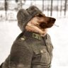 Фото профиля The ghost of D.B. Cooper