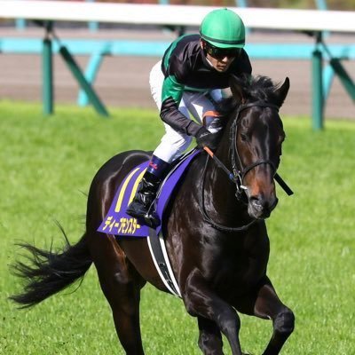 yKOROGASHI's profile picture