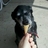 rynryn's profile picture