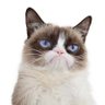 Kentwell1971's profile picture