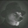 Profilbild von Rafa🍀