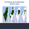 FREE PALESTINE 的头像