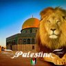 Фото профиля Colonized_Canaanite