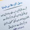 Фото профиля asif fareed