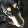 usako🍀's profile picture
