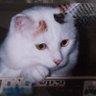 Sたえちゃん's profile picture