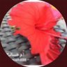 Profilbild von Umsaleh888