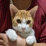 ひまわり屋 profil fotoğrafı