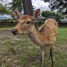 えーいちゃん's profile picture