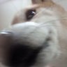 いっちゃん's profile picture