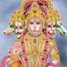 Mahadev's profile picture