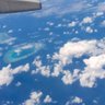 不安分的海绵体 的头像