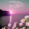 فاطمه عبده's profile picture