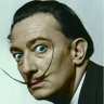 Profilbild von DALI SALVADOR