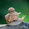 Фото профиля ElPofreDeFisica