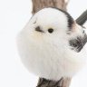 Layla profil fotoğrafı