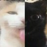Profilbild von guh