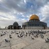 Фото профиля اللهم أعز الإسلام والمسلمين