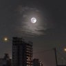 Фото профиля الألف★♪.