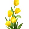 Фото профиля Martha Cuervo