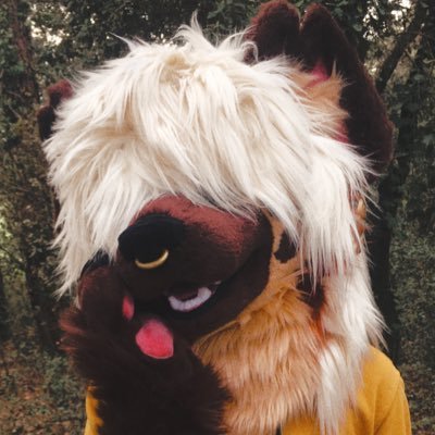 ✴︎ Oliver ✴︎ @FWA's profile picture