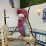 Фото профиля غيمة جنوبيه